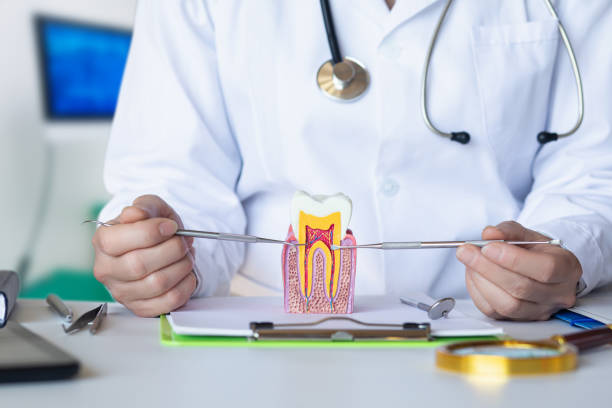 Best Pediatric Emergency Dentist in Ashwaubenon, WI